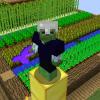 Nether Chickens? - last post by NoisyScrubBirb